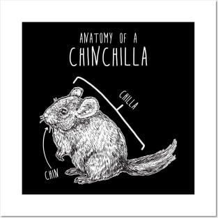 Chinchilla Anatomy Posters and Art